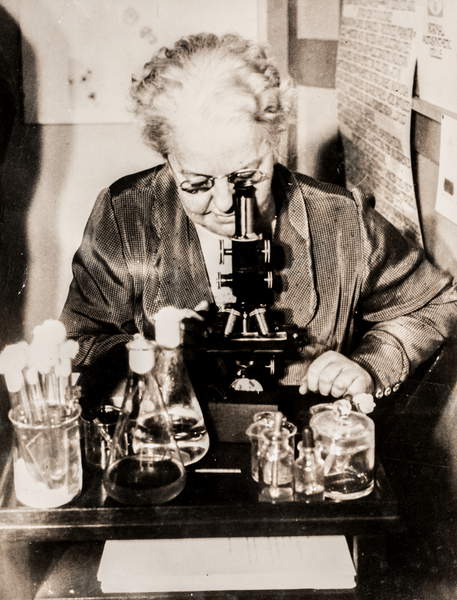 image of Dr. Amy F. Rowland with a Microscope, Cleveland, OH, USA, 1930 (silver gelatin print) / Private Collection / The Burns Archive and Museum of Historical Photography / Bridgeman Images