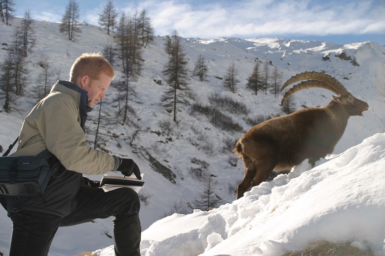 Mark drawing the Ibex, Gran Paradiso, Val d'Aosta. Click through to read our interview with him.