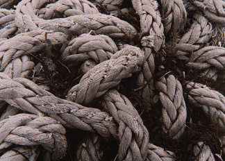 Ropes, John Cooper (b.1939) / Private Collection / © Special Photographers Archive