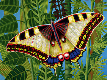 image of the Butterfly, Tamas Galambos / Private Collection / Bridgeman Images