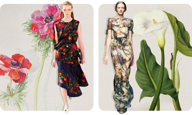 Images: Anemone, Izabella Godlewska de Aranda / Calla Aethiopica with Butterfly and Caterpillar, Matilda Conyers Photo © The Maas Gallery / Bridgem Images. Fashion: Celine (left) and Erdem (right): Photo credit Yahoo Style