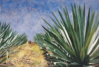 Agaves with Blue Sky, 2004 by Pedro Diego Alvarado