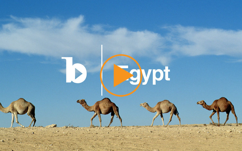 Egypt Collection / Bridgeman Footage