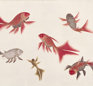 ASC138165 Gold and Silver Fish from 'Drawings of Fishes from Malacca', c. 1805-18 (w/c on paper), Chinese / Royal Asiatic Society, London, UK