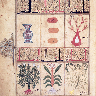 CHT163241 Plants from the 'Treatise of Theriac' after Galien, 1217 (vellum), Islamic/ Bibliotheque Nationale, Paris, Archives Charmet