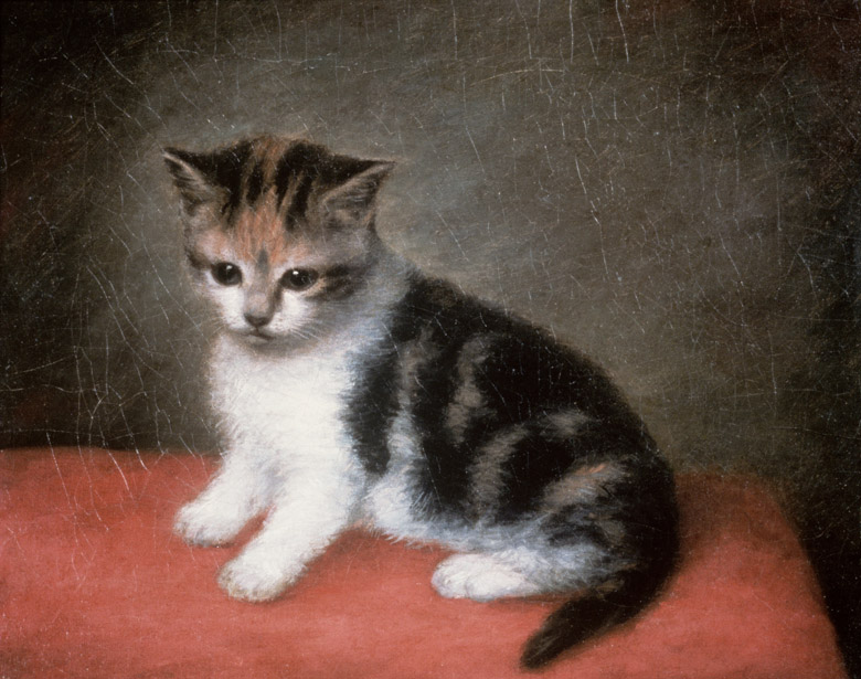 Miss Ann White's Kitten, 1790 by George Stubbs (1724-1806) / Roy Miles Fine Paintings