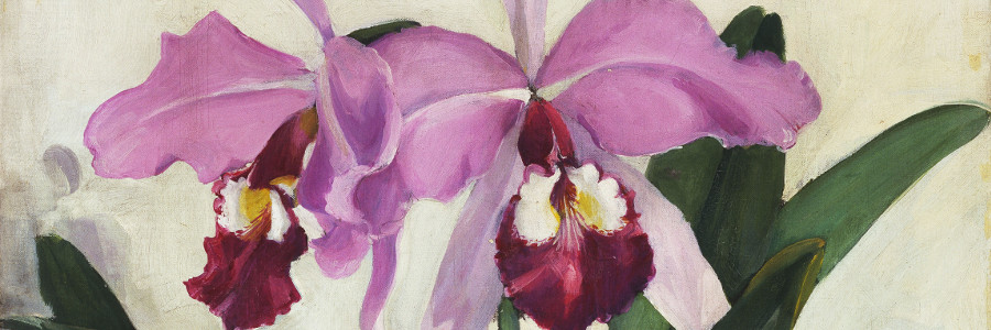 Image of the painting Orchids / Jane Peterson / Photo © Christie's Images / Bridgeman Images 