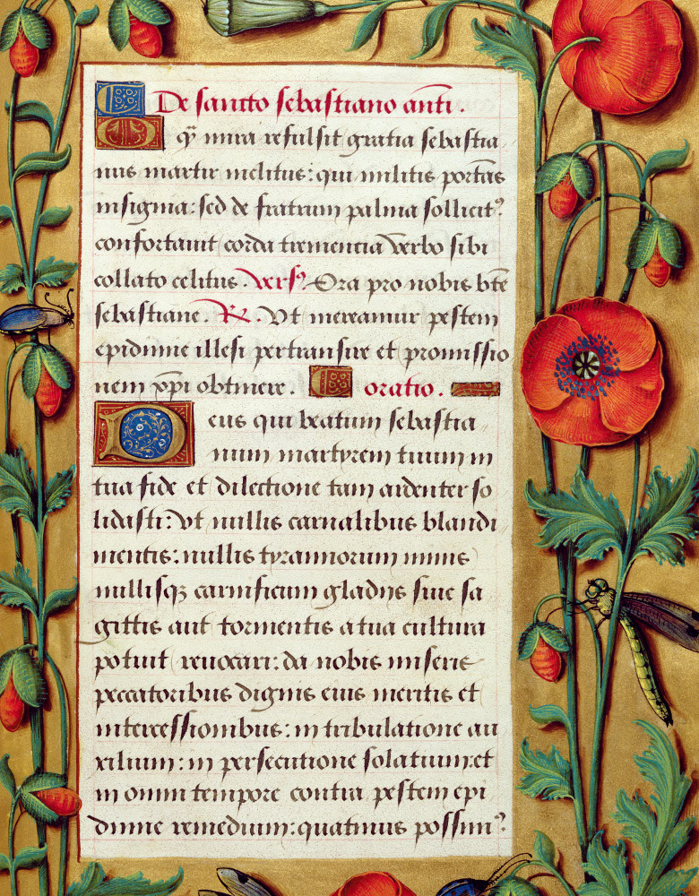 Poppies and dragonfly, Book of Hours / Simon Bening / © British Library Board / Bridgeman Images 