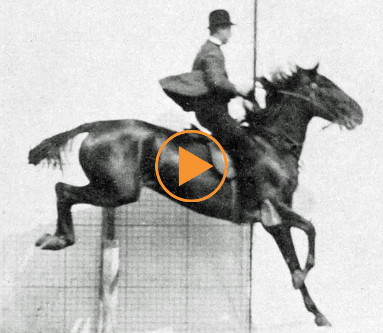 Man and horse jumping a fence, plate 643 from 'Animal Locomotion', 1887 (b/w photo), Muybridge, Eadweard (1830-1904) / Private Collection / The Stapleton Collection