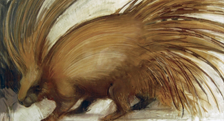 Porcupine, 2008 (pastel on paper) by Lara Scouller