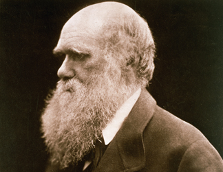 64677 Charles Darwin (1809-82) (photo) by Julia Margaret Cameron (1815-79), Private Collection/ The Stapleton Collection